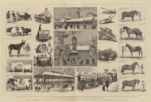 La Exposición Internacional de Agricultura de Londres en Kilburn, julio de 1879